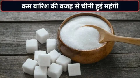 Chini ke Daam: चीनी की मिल कीमत 5500 रुपये प्रति क्विंटल के रिकॉर्ड स्तर पर, खुदरा भाव में भी 13 फीसदी उछाल