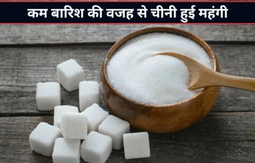 Chini ke Daam
