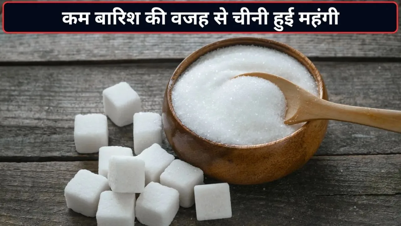 Chini ke Daam