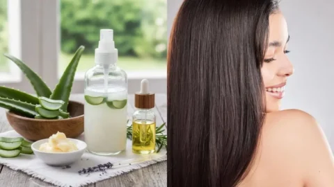 DIY Leave-In Conditioner: बालों को दें नेचुरल शाइन, घर पर आसानी से बनाएं यह शानदार लीव-इन कंडीशनर