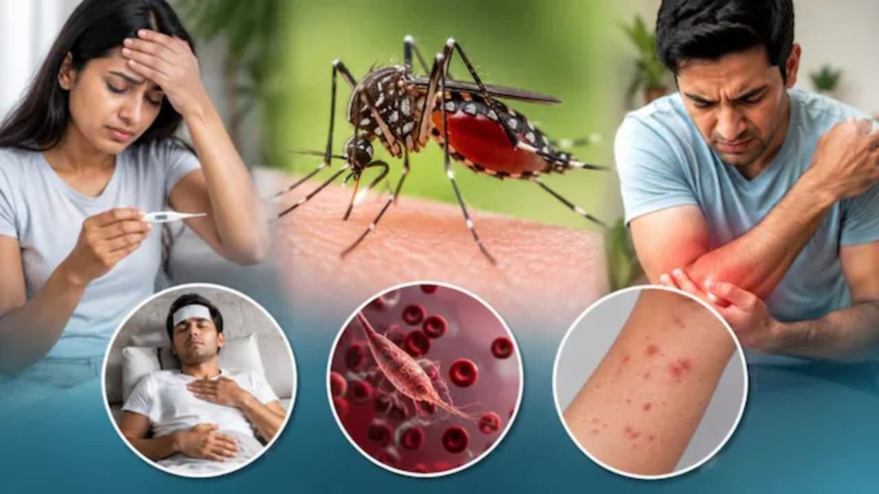 Dengue-Malaria Risk