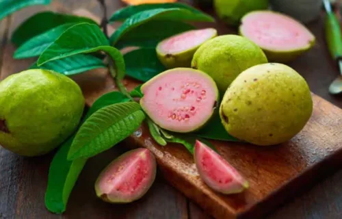 Guava Leaves Benefits
