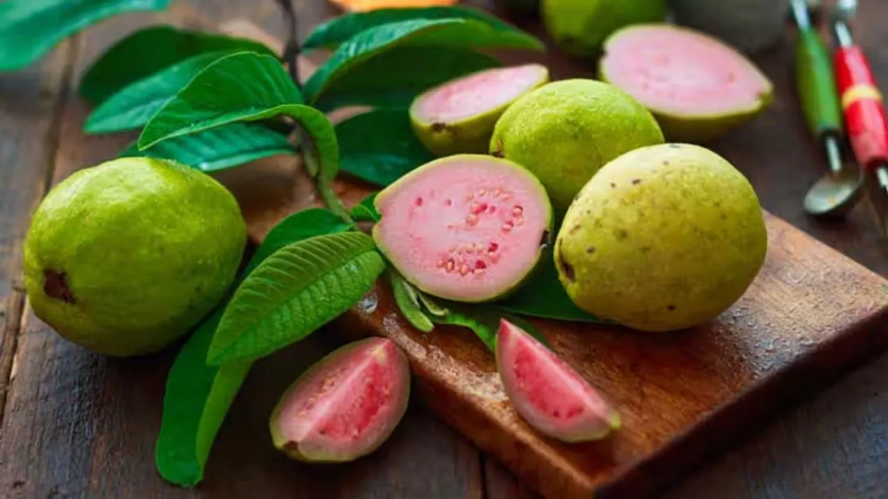 Guava Leaves Benefits