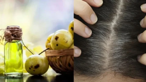 Hair Oil For Hair Fall: बाल झड़ने की समस्या हो तो घर बैठे बनाएं आंवला मेथी वाला हेयर ऑयल
