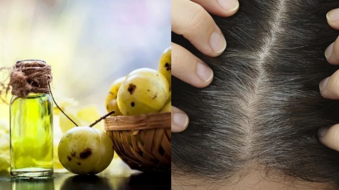 Hair Oil For Hair Fall