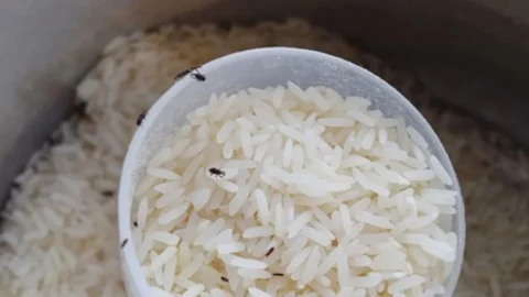 How to Remove Rice Weevils: चावल में दिख रहे हैं जाले और कीड़े? जानिए अनाज को खराब होने से बचाने के आसान घरेलू उपाय