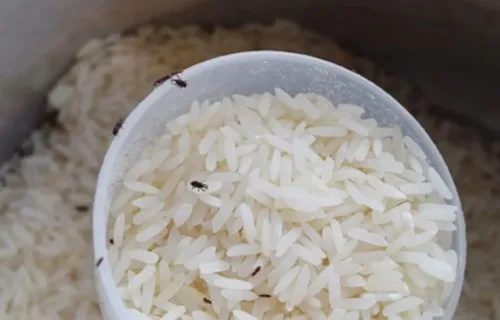 How to Remove Rice Weevils
