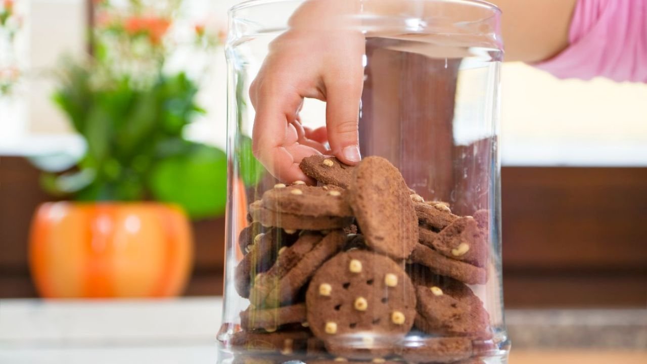 How to Store Biscuits : बिस्किट लंबे समय तक रहेंगे कुरकुरे, चावल से अपनाएं ये आसान ट्रिक