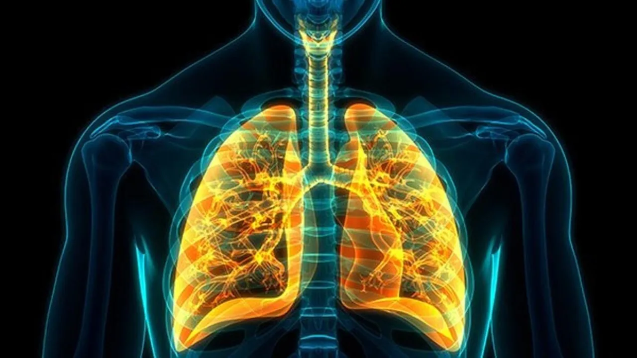 Lung Tumor