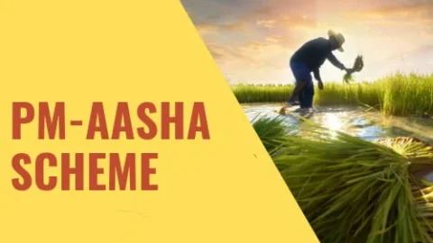 PM-AASHA Scheme: कृषि बजट में 7200 करोड़ की बढ़ोतरी, जानें किसानों के लिए PM-AASHA के फायदे
