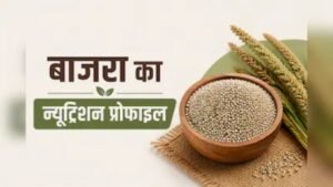 Poshan Patri Nutrient Check: बाजरा का न्यूट्रिशन प्रोफाइल, जानें 100 ग्राम बाजरे में कितनी कैलोरी और कौन-से पोषक तत्व होते हैं शामिल