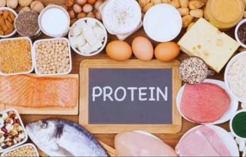 Protein Digestion