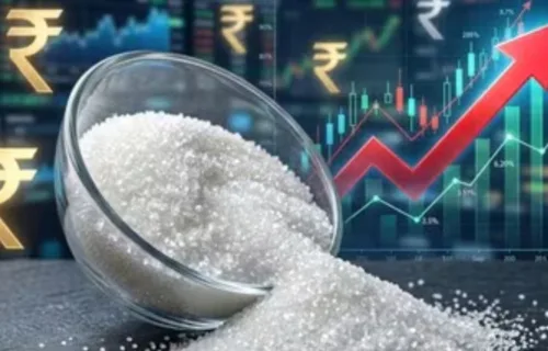 Sugar Stock Limit 2026