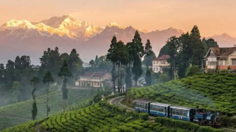 Tourist Place In Darjeeling: पहाड़ों की रानी में घूमें ये 8 प्रमुख और खूबसूरत पर्यटन स्थल