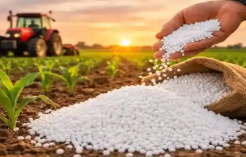 Urea Home Delivery