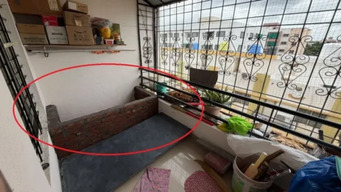 Wife Trying to Kill Husband: बारामती में पत्नी ने पति को जिंदा दफनाने की कोशिश, मजदूरों की सूझबूझ से बची जान