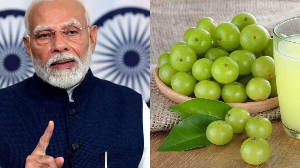 Amla Benefits: पीएम मोदी आंवला मन की बात, मजेदार भी हेल्दी भी, डाइट में शामिल करने के आसान तरीके