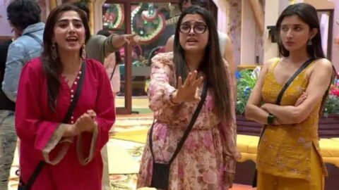 Bigg Boss 20: लव गिल के टुनटुन कहने पर आम्रपाली दुबे को लगा बॉडी शेमिंग