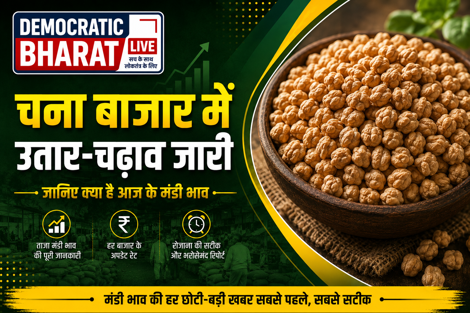 Chana Mandi Bhav 3 Sep 2026: त्योहारी सीजन से पहले चना के दाम में तेजी का दौर जारी, जानें आज के ताज़ा चना मंडी भाव
