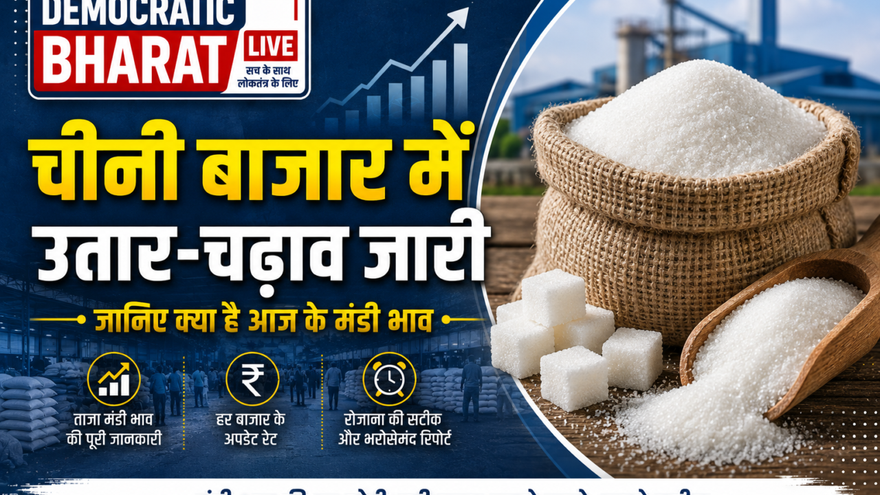 Chini Mandi Bhav 3 Sep 2026: आम आदमी की अभी और जेब ढीली करेगी चीनी, जानें आज के ताज़ा चीनी मंडी भाव