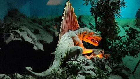 Delhi Jurassic Park: ₹100 में देखें डायनासोर, जानें टिकट, टाइमिंग और मेट्रो स्टेशन