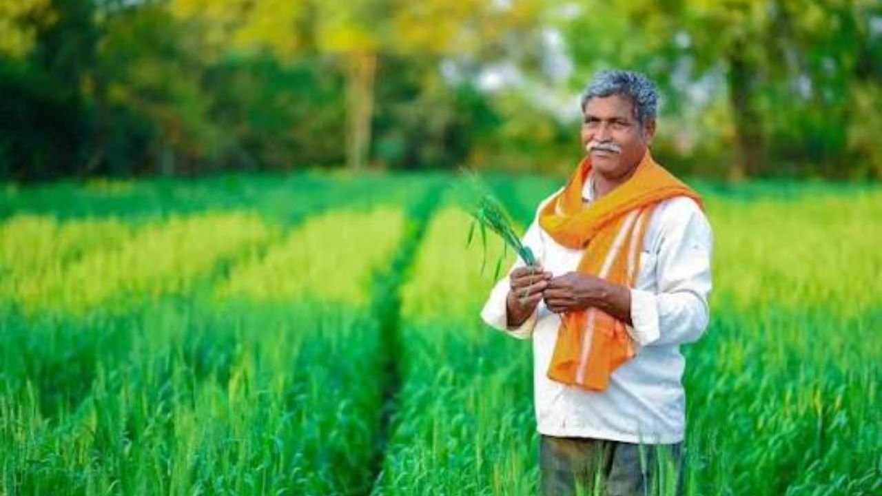 KCC Loan: किसान क्रेडिट कार्ड नहीं बना तो जानें फायदे, पांच लाख तक कर्ज और चार प्रतिशत ब्याज की सुविधा