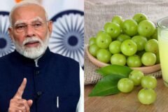 PM Modi Amla Health: पीएम मोदी के आंवला जिक्र के बाद फिर चर्चा में सेहत से जुड़े सवाल, जानें क्या है मामला?