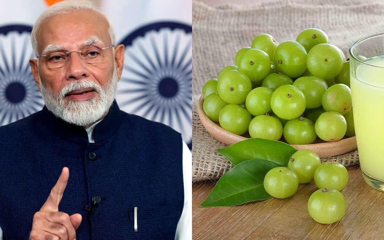 PM Modi Amla Health: पीएम मोदी के आंवला जिक्र के बाद फिर चर्चा में सेहत से जुड़े सवाल, जानें क्या है मामला?