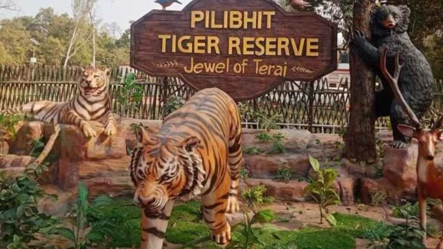 Pilibhit Tiger Reserve