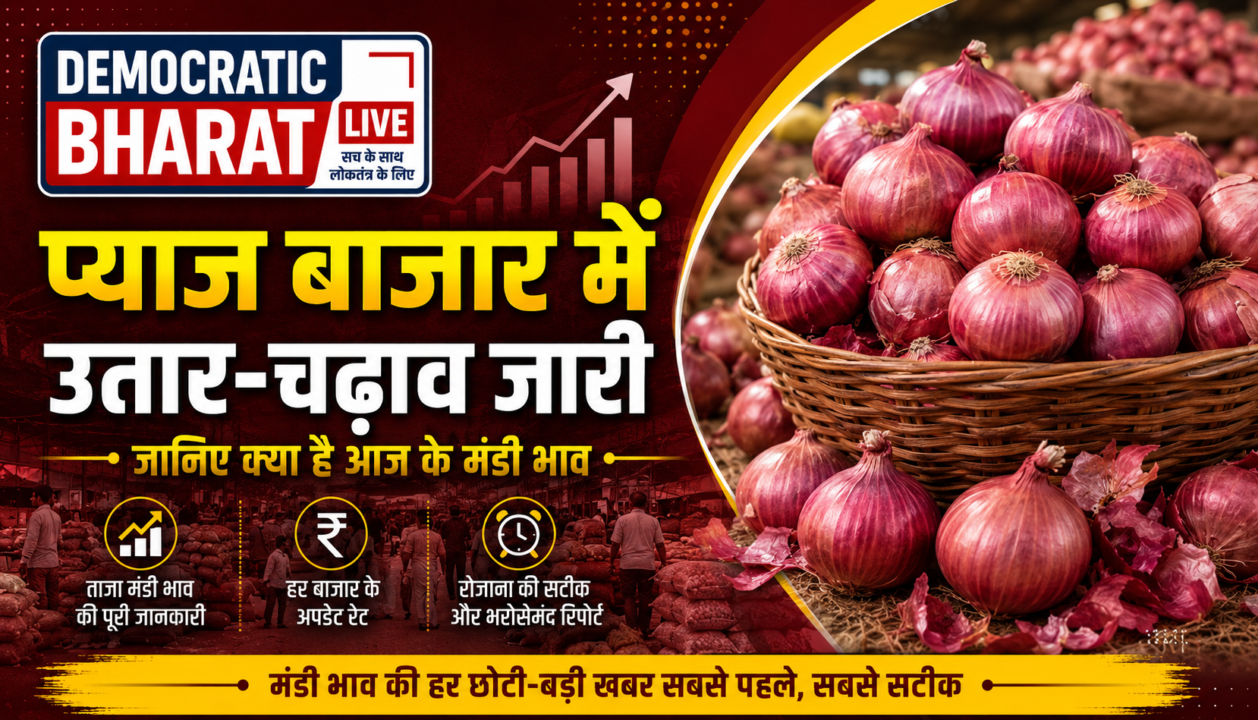 Pyaj Mandi Bhav 3 Sep 2026: आवक की कमी और डिमांड मजबूत होने से प्याज़ के दाम में आई तूफानी तेजी, जानें आज के ताज़ा प्याज़ मंडी भाव