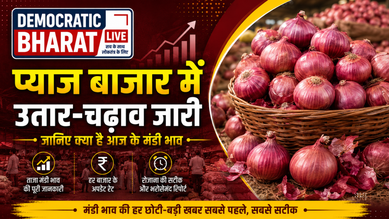 Pyaj Mandi Bhav 3 Sep 2026: आवक की कमी और डिमांड मजबूत होने से प्याज़ के दाम में आई तूफानी तेजी, जानें आज के ताज़ा प्याज़ मंडी भाव