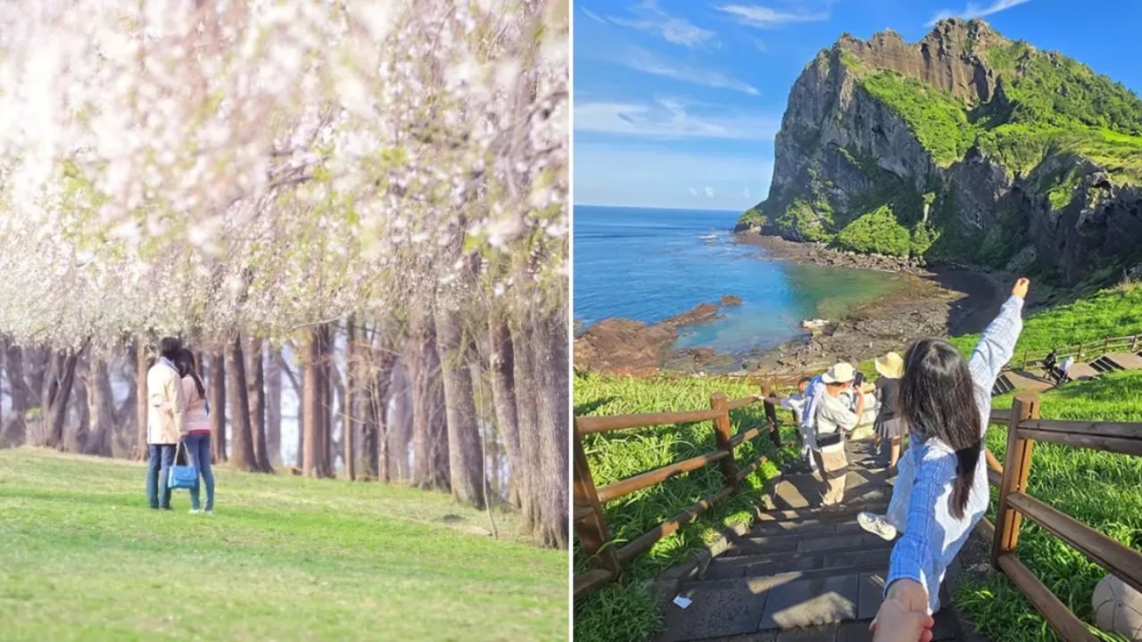 South Korea K-Drama Locations: के-ड्रामा जैसी जगहें दक्षिण कोरिया में, गोब्लिन से होमटाउन चा चा चा तक ये छह स्पॉट घूम सकते हैं