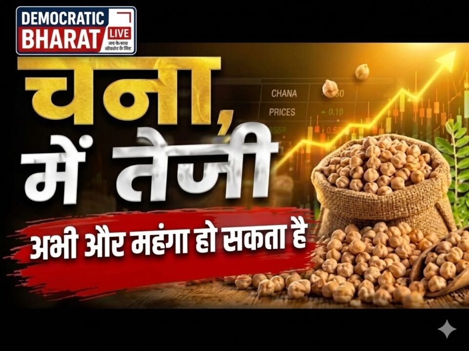 Chana Mandi Bhav: खरीदारी बढ़ने से दाम मजबूत, जानें आज के ताजा भाव