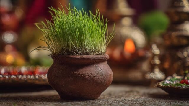 Navratri 2026: कलश के पास जौ क्यों बोए जाते हैं, अंकुर का मतलब और नौ दिन बाद क्या करें?