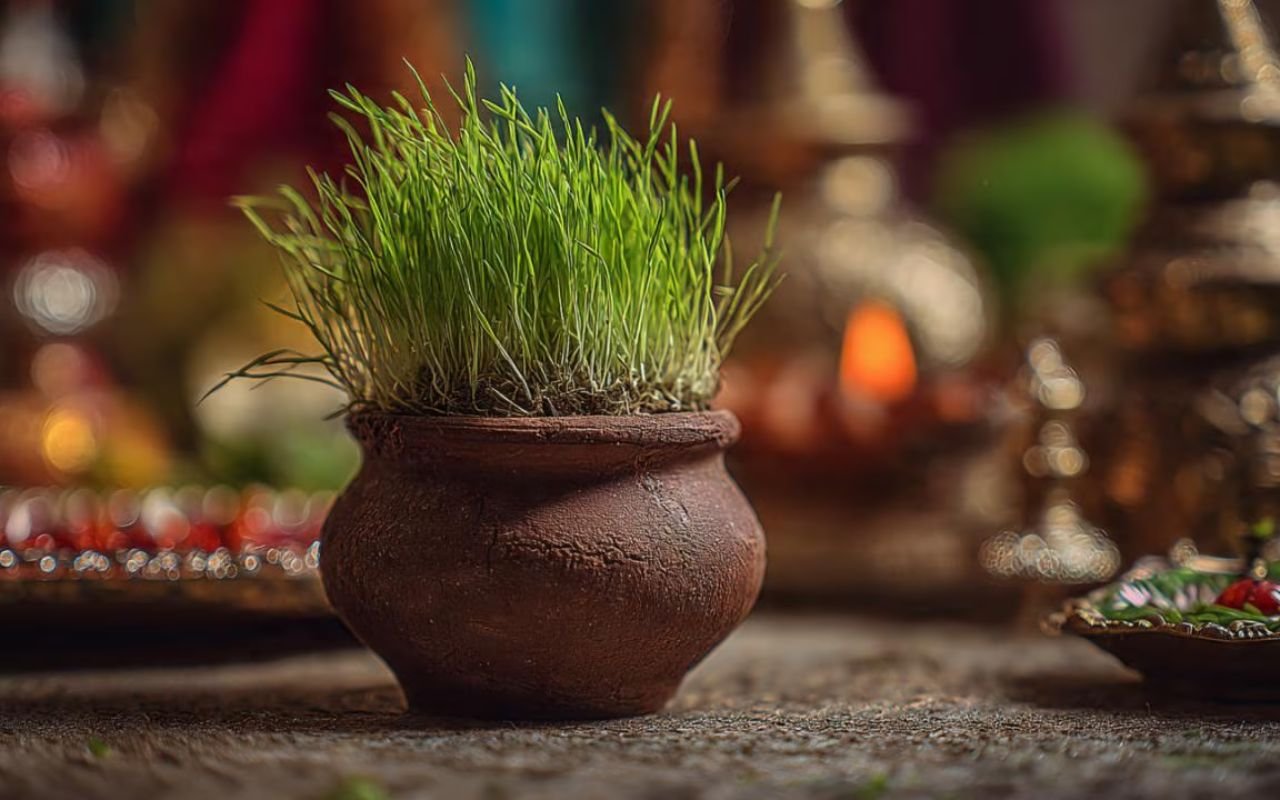 Navratri 2026: कलश के पास जौ क्यों बोए जाते हैं, अंकुर का मतलब और नौ दिन बाद क्या करें?