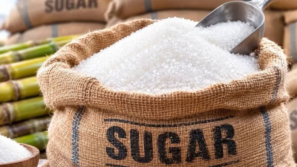 Sugar Price 16 October 2026