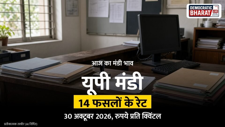 आज का मंडी भाव 30 अक्टूबर 2026: यूपी की मंडियों में समेत 14 फसलों के रेट