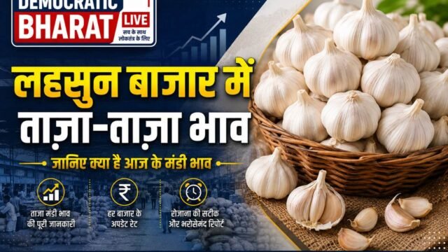 lahsun mandi bhav 3 sep 2026